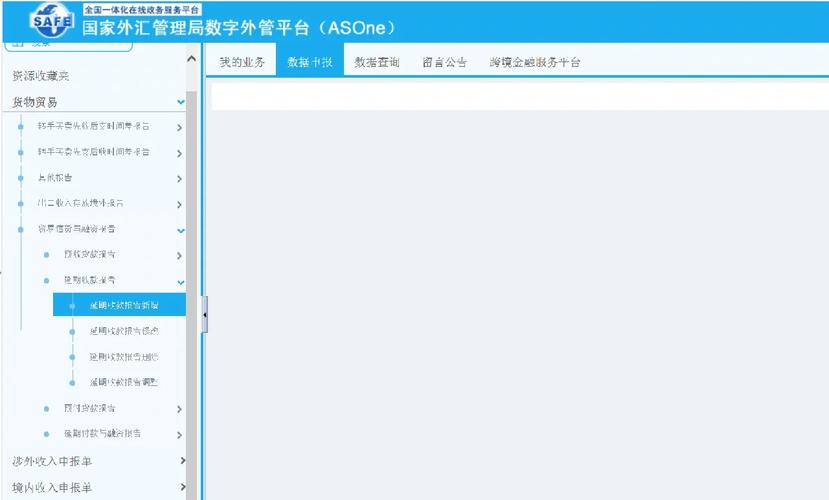 国家外汇管理应用服务平台