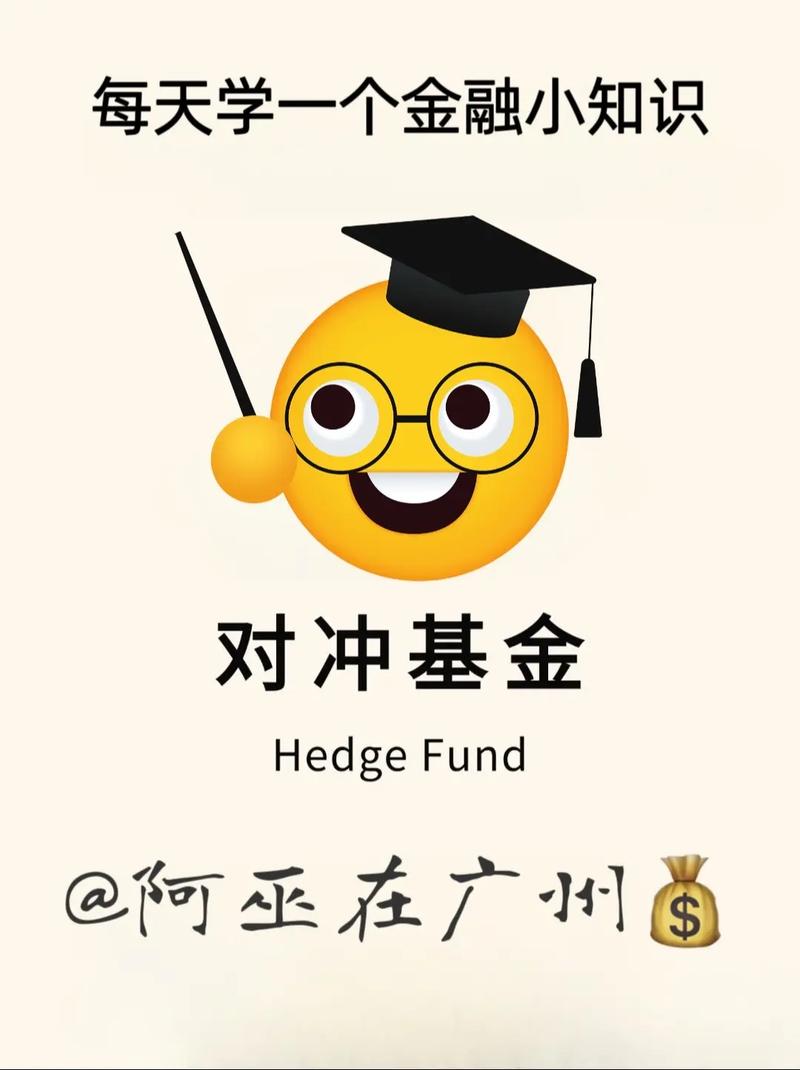 对冲基金怎么玩