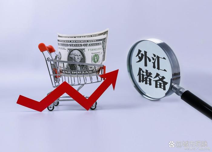外汇管制的弊端
