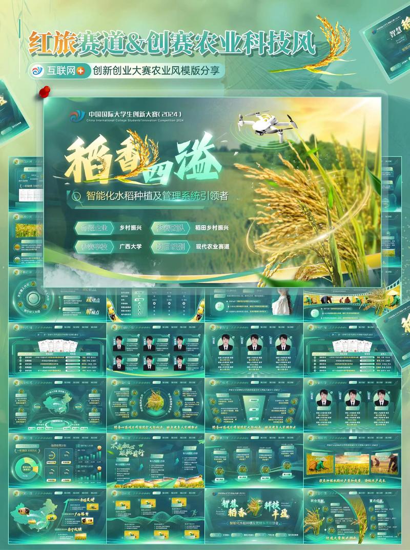 创业大赛ppt优秀作品