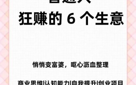 一天挣两三百的小本生意(一天挣300500的小本生意)