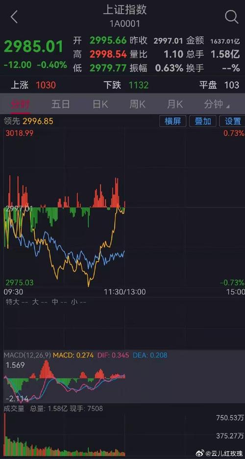 今日股市为什么不开盘