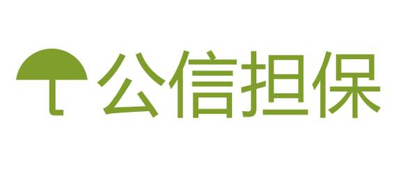 上海融资担保有限公司