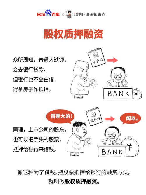 资本市场融资