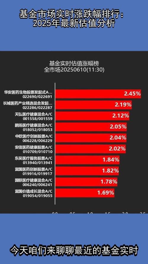 股票型基金最新排名