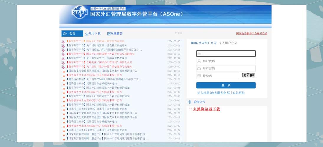 国家外汇局服务平台