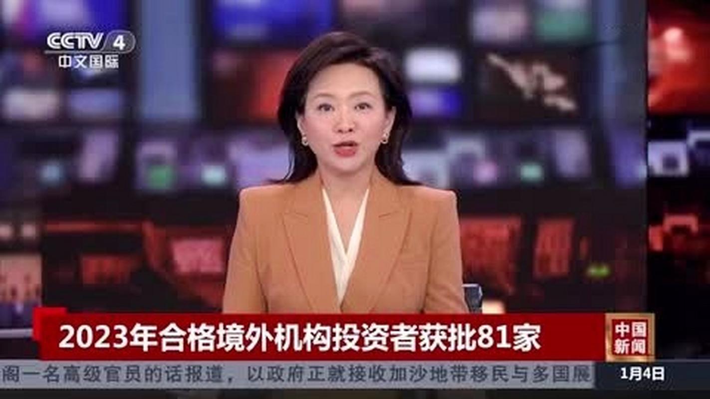 合格境内机构投资者