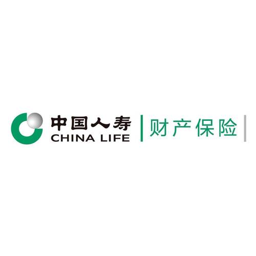 中国人寿理财险
