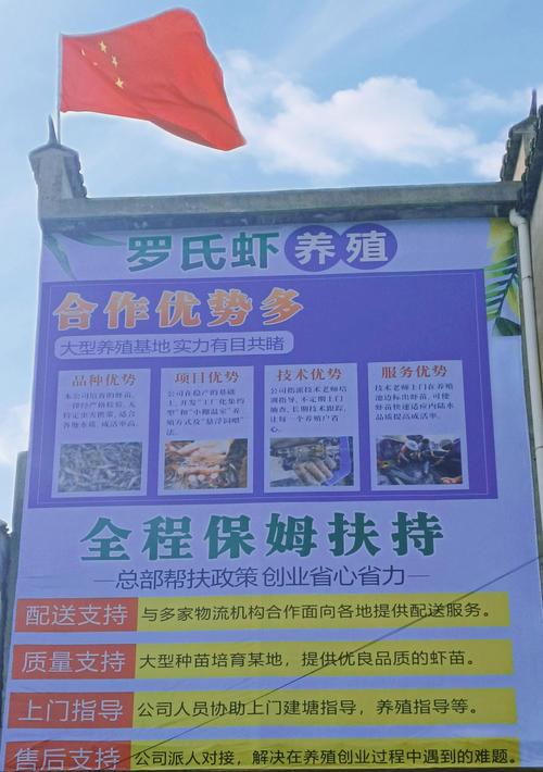 小投资养殖项目