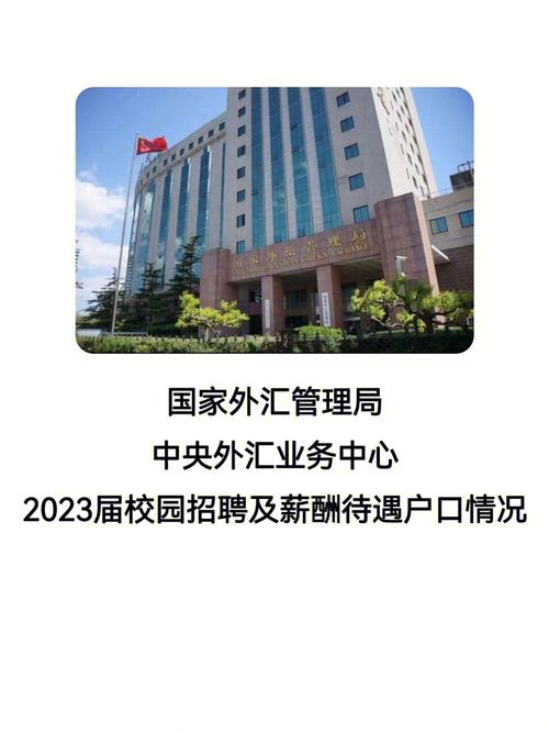 国家外汇管理局网站