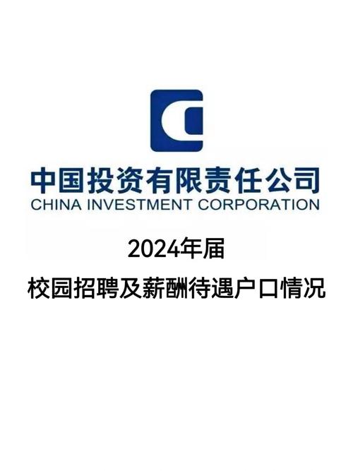 中国的投资公司