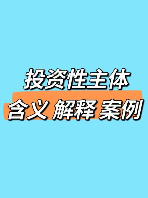 投资主体是什么