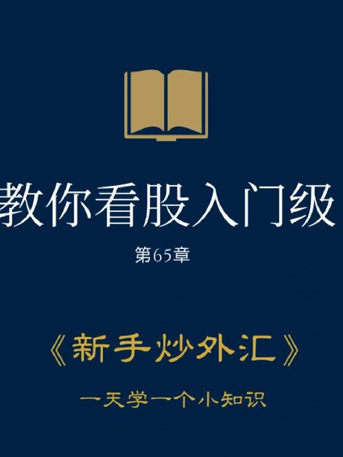 新手炒外汇