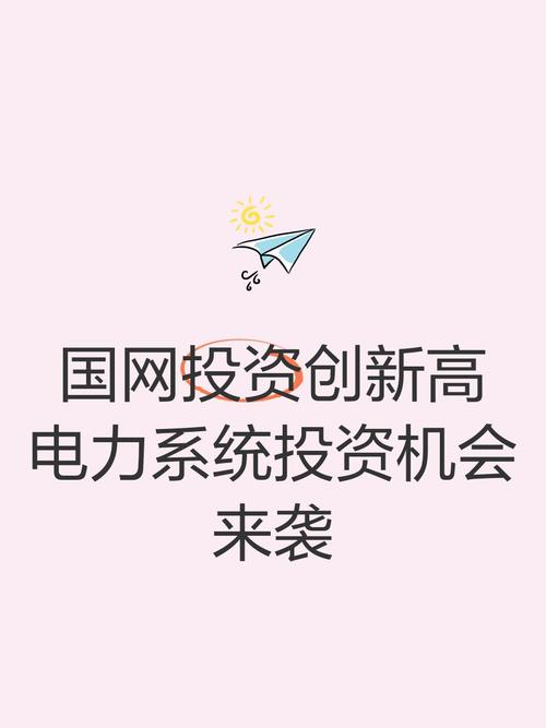 国网投资