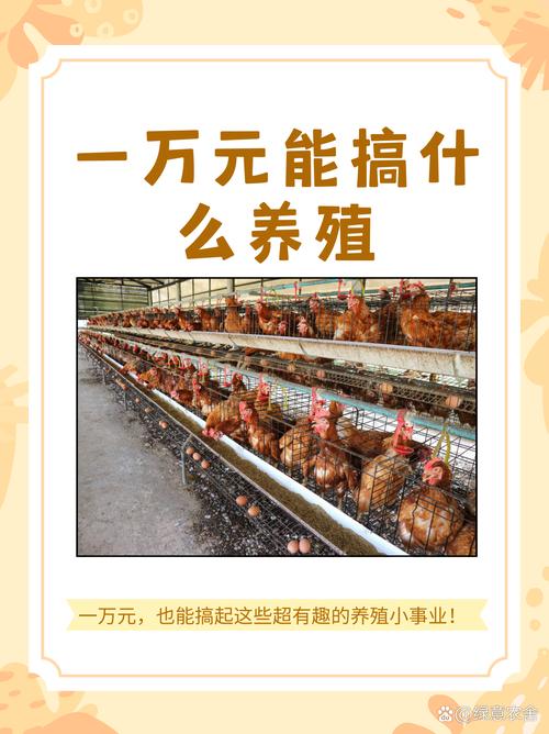 养鸡场需要投资多少钱