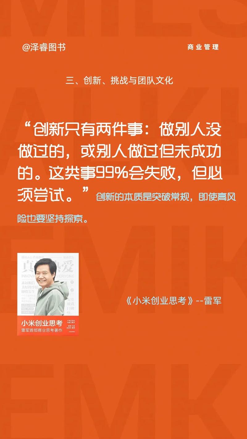 小米创业案例分析