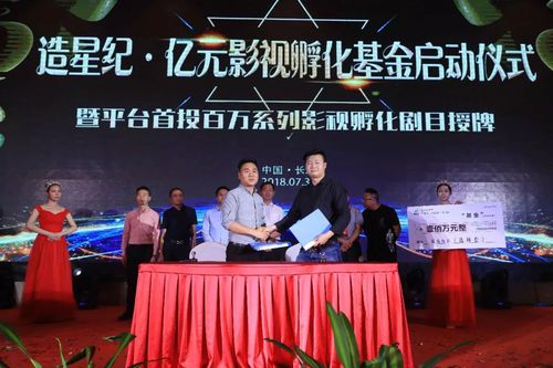 影视投资基金公司