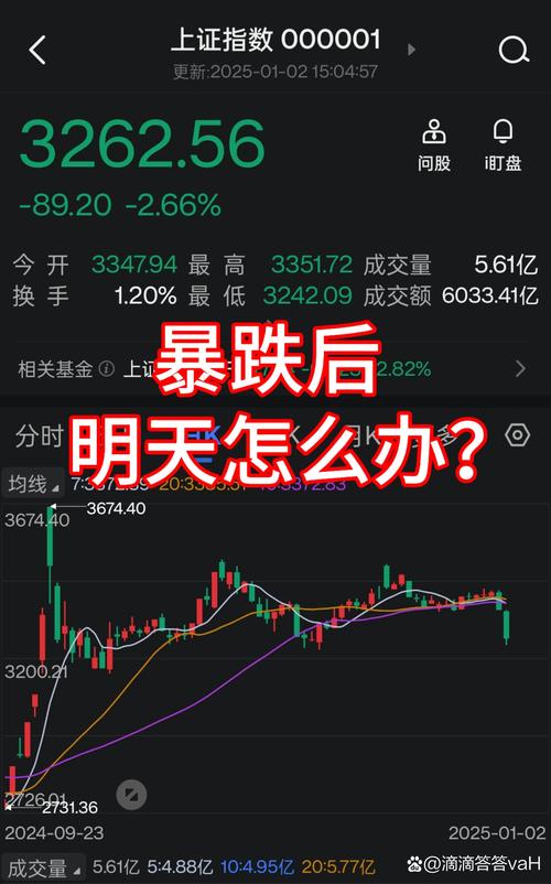 今天股市涨了吗