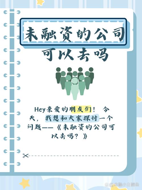 未融资是什么意思