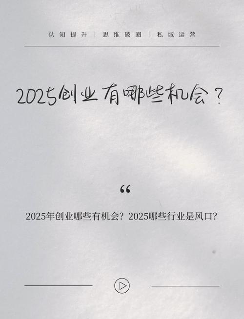 创业作品