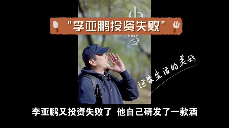 项目投资失败