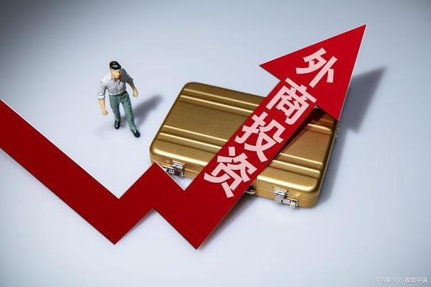 引进投资