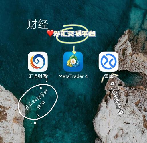 炒外汇的软件