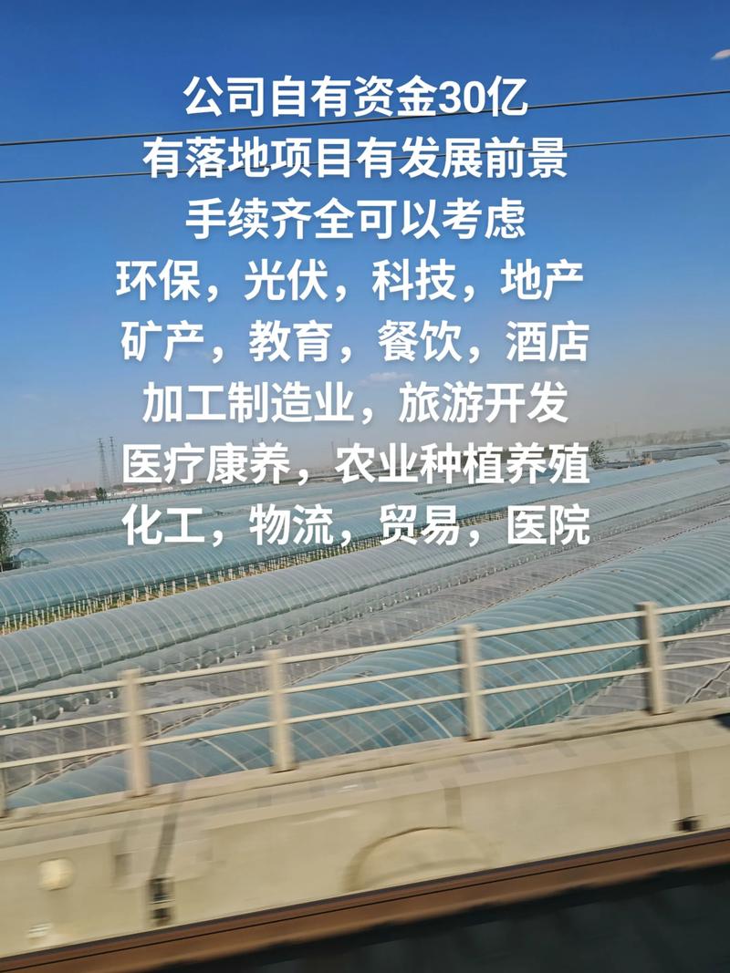 创业项目商机