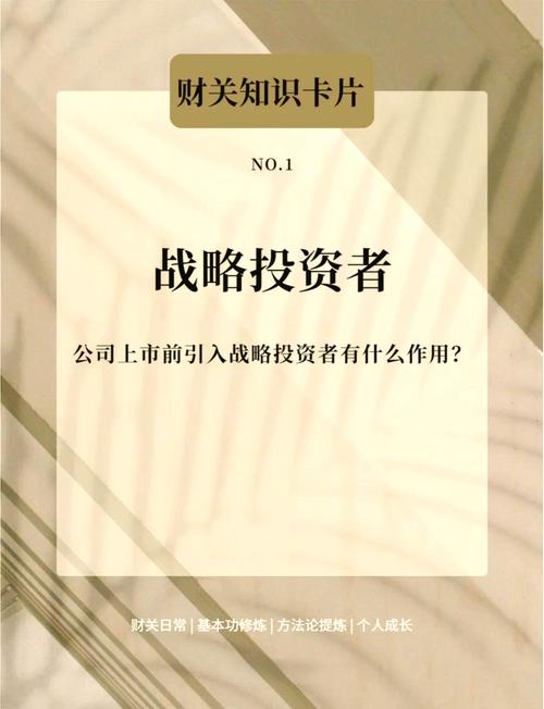 引入战略投资者