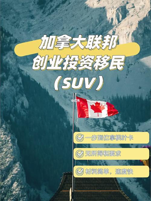 加拿大联邦创业投资移民