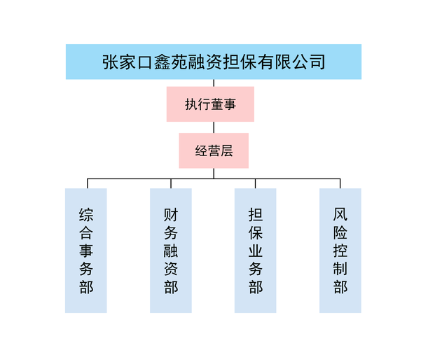 非融资性担保公司经营范围