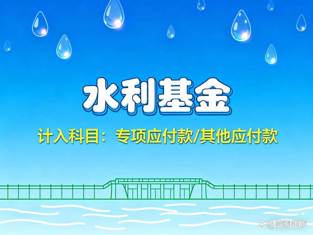 水利基金计入什么科目