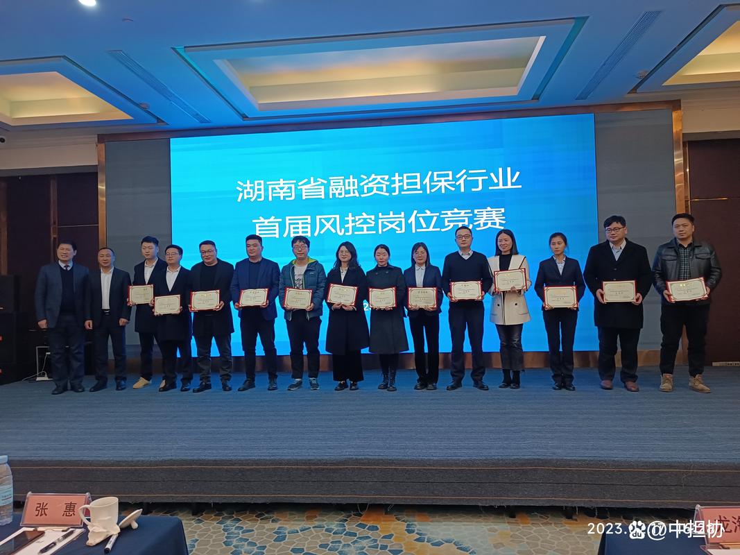 湖南省融资担保集团有限公司