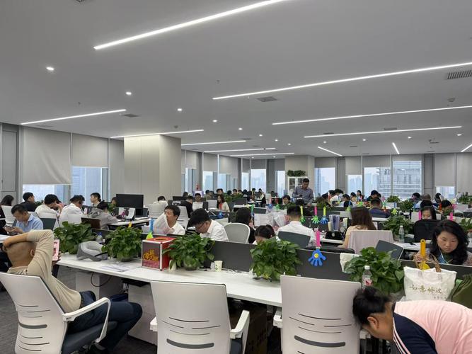 杭州顶点财经四分公司怎么样？