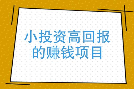 小投资高回报