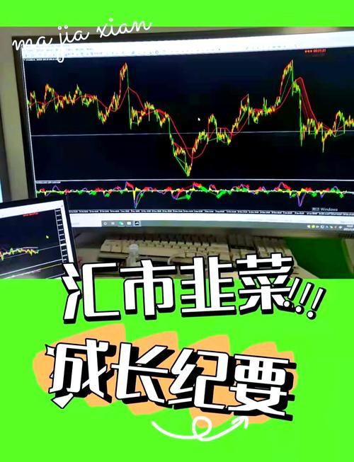 汇正财经是割韭菜公司吗知乎？