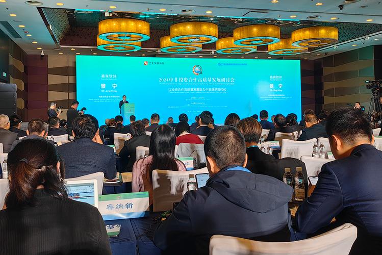 中非泰达投资有限公司