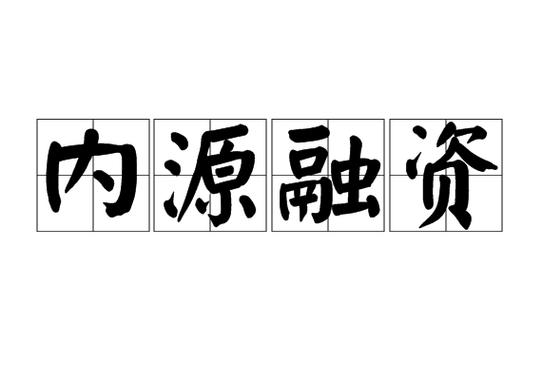内源融资