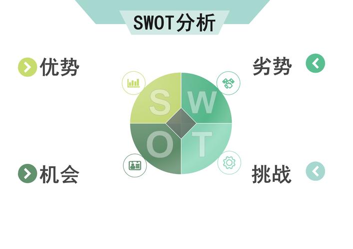 创业项目swot分析