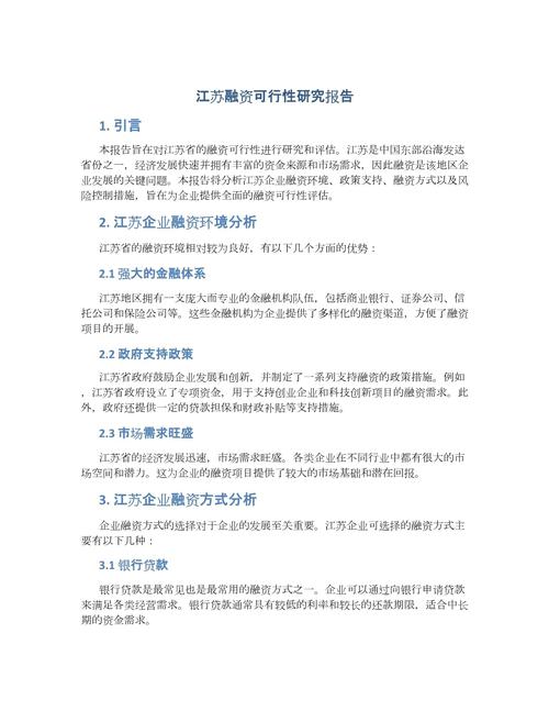 融资可行性报告