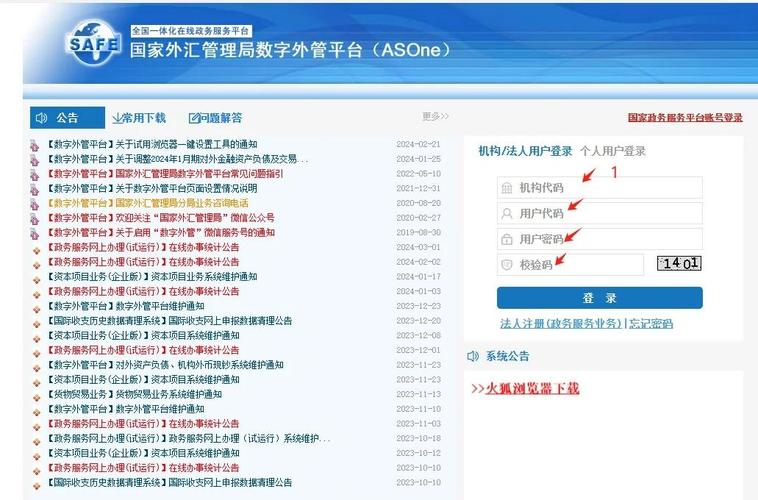 外汇管理局申报