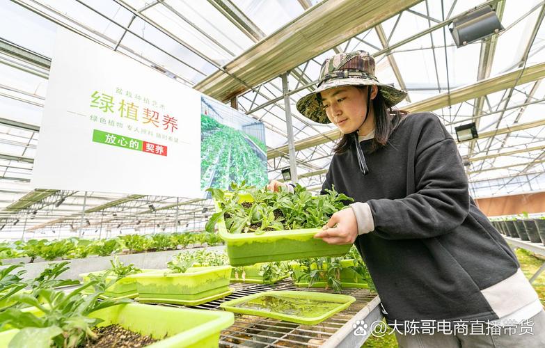 农业投资创业项目