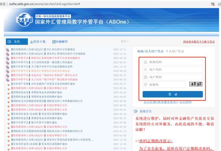外汇网上申报平台