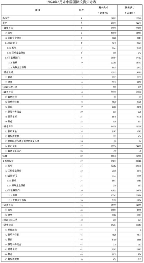 中国国际投资头寸表