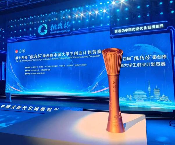 大学生创业项目比赛