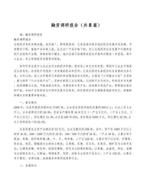 企业融资报告范文