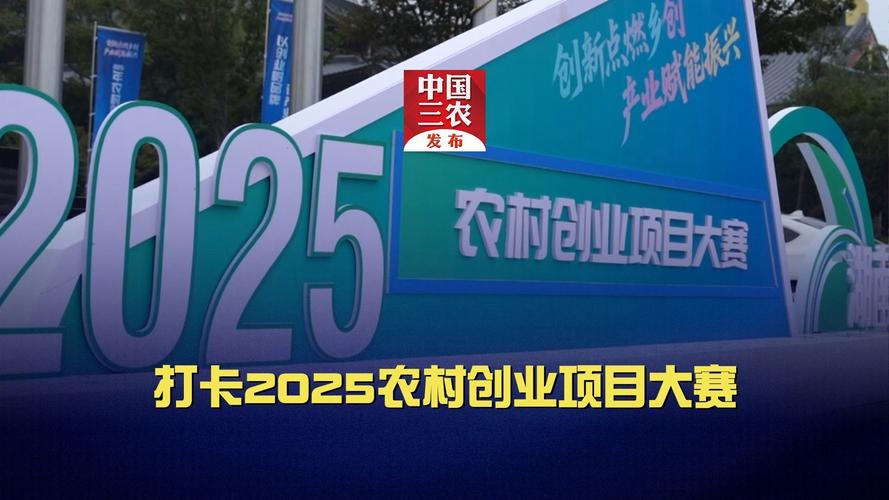 农村适合创业项目