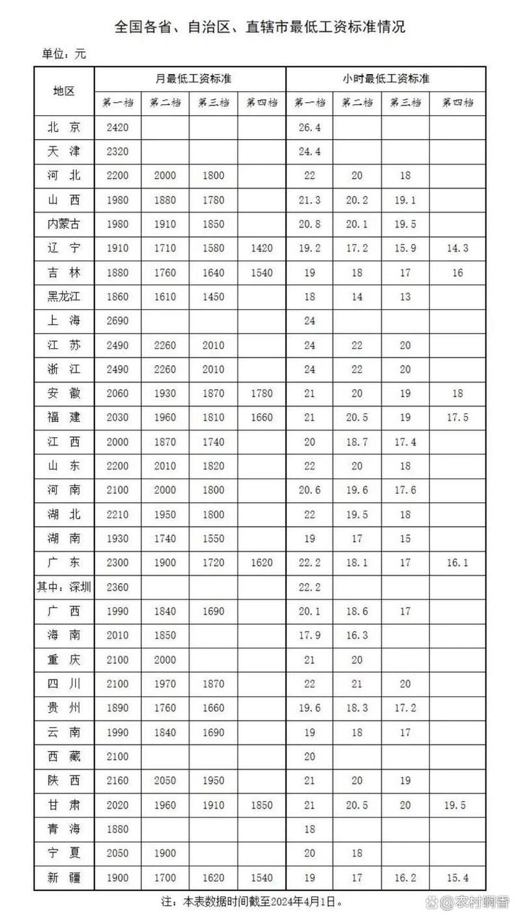 鲁北基金会工资查询