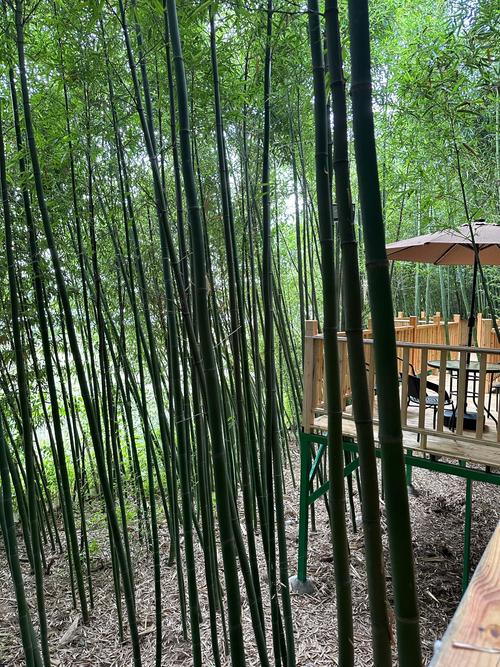 投资15万开农家乐图片