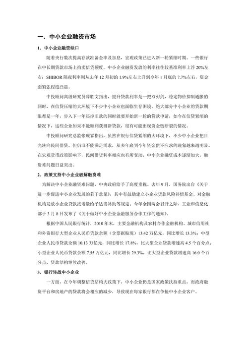 融资报告案例范文